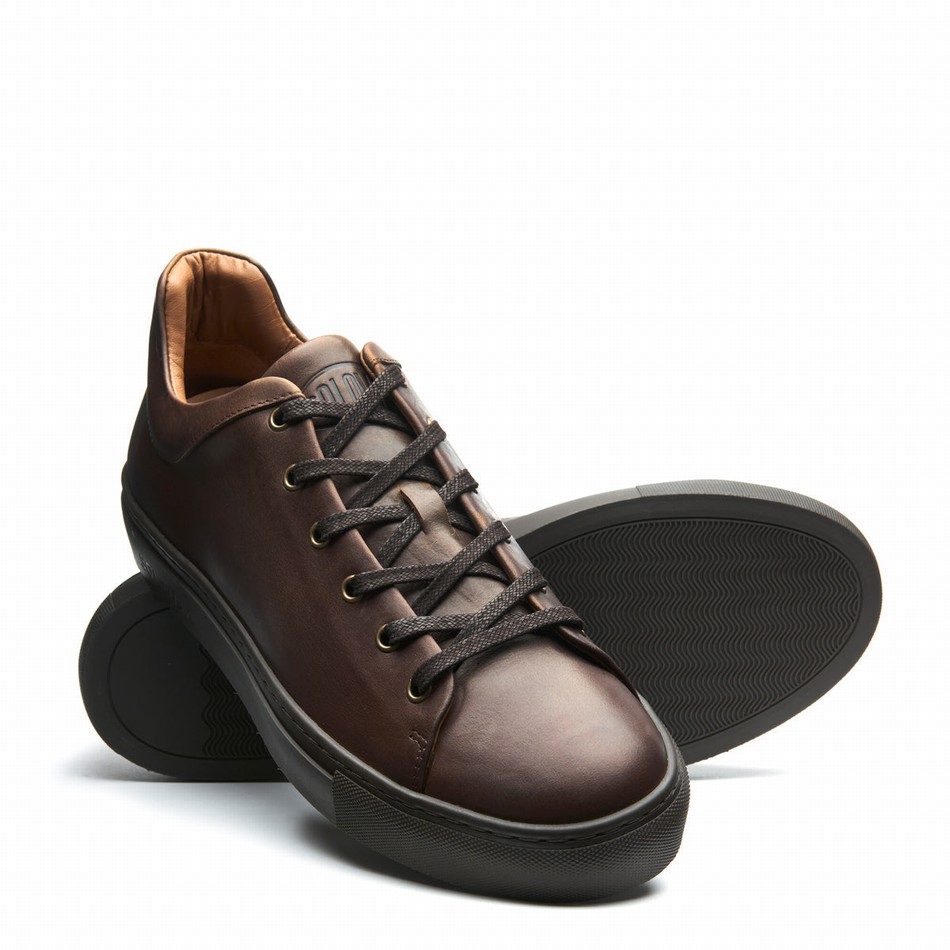 Solovair Gaucho Crazy Horse Men Sneakers Brown | S6-SNE-CH-BNS-030